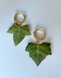 Image 1 of Ivy Dangles 