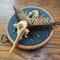 Image 3 of Specimen beetle (a, 4  inches)