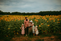 Image 5 of Sunflower MINI 🌻 