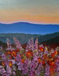 Image 2 of Colorado Sunset