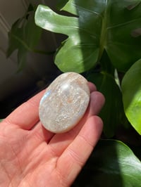 Image 4 of Moonstone Palm Crystal (10)