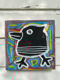 Black Bird 5