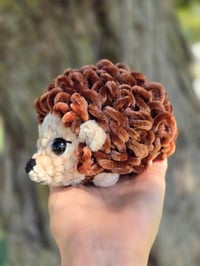 Image 3 of Hazel The Hedgehog 