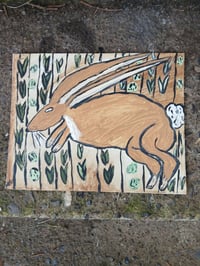 Image 4 of Rabbit
