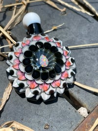 Image 8 of Magenta Cactus Flower