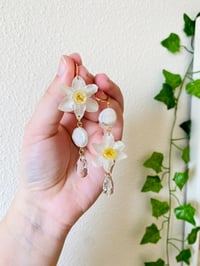 Image 2 of 🤍Mismatch Pearly Narcissus🤍