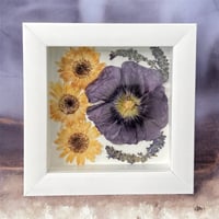 Image 4 of Plum Hollyhock, Veronica & Daisies- Wildflower Art In 6" X 6" Shadow Box (Item# 202309S)