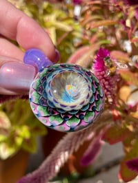 Image 8 of Jeweled Pear