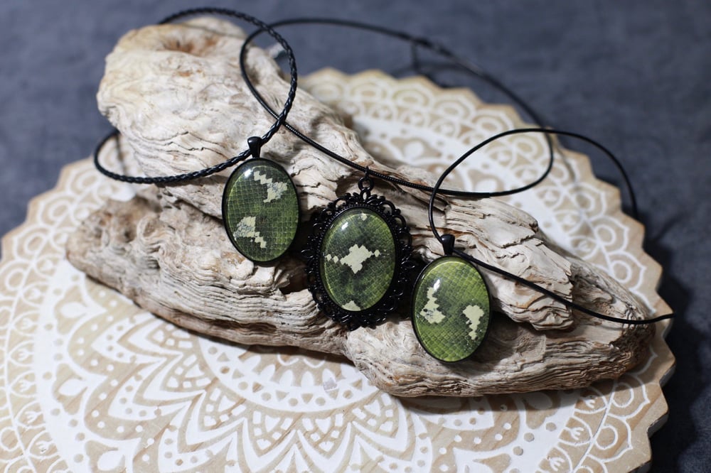 Image of Emerald Tree Boa Collection 2