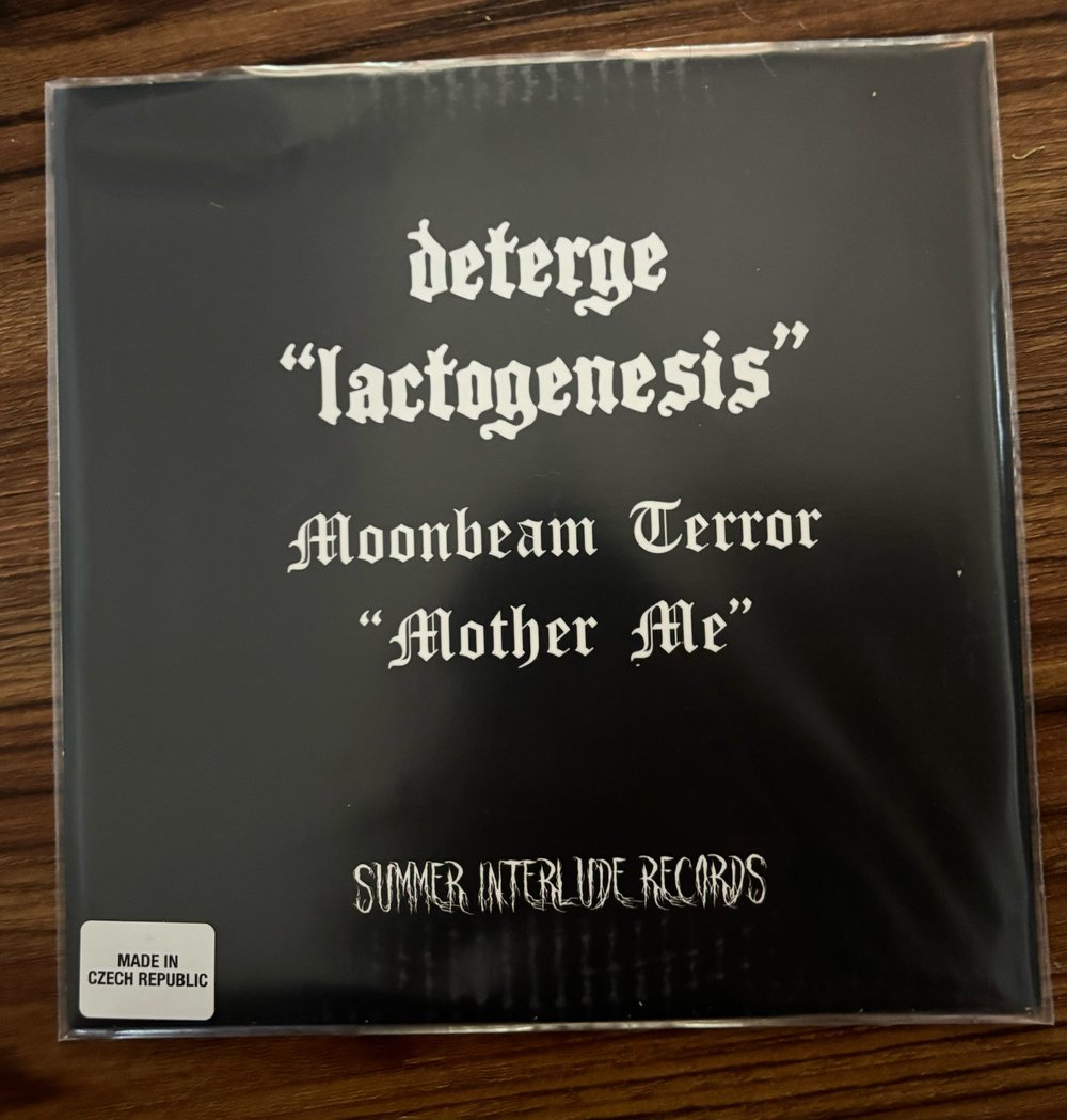 Deterge/Moonbeam Terror 7” Vinyl (Shipping Now)