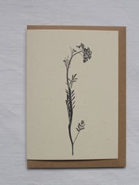 Image 2 of Lady’s Smock Flower Greeting Card A6