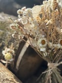 Dried wedding florals 