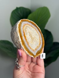 Image 4 of CARNELIAN AGATE GEODE -MADAGASCAR-