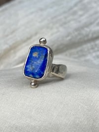 Image 5 of Starry Night 