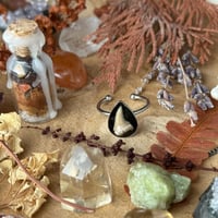 Image 4 of Shark Tooth Ring