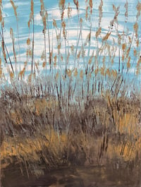 Marsh Grass