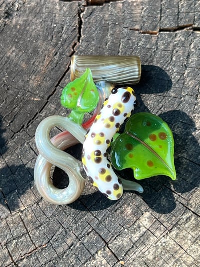 Image of Caterpillar Lunch Colab with Shelley Sunshine!