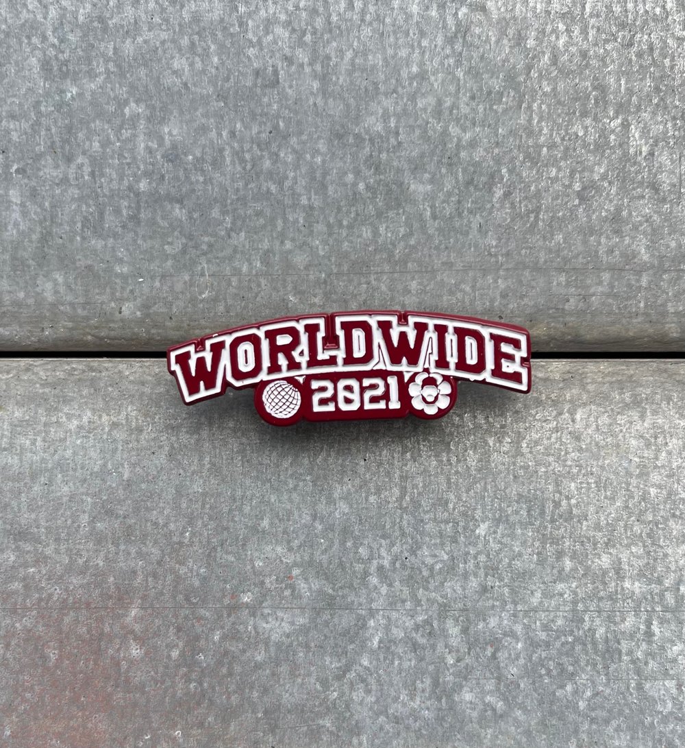 Image of Worldwide Pin 