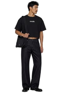 Image 3 of twink cropped 