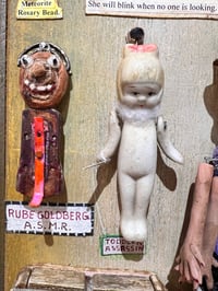 Image 18 of Oddities & Obscura- Jil Johnson