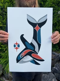 Image 2 of Killer whale