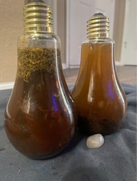 Image 5 of StRange FloRida WateR
