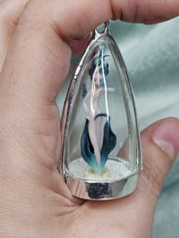 Image 3 of Fiammella di Avalon Oceano