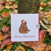 Festive Bear