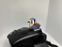 Image 3 of American Kestrel Hotshoe Cover