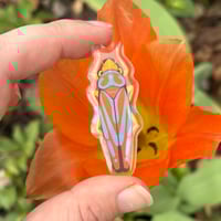 Image 2 of Candy Stripe Leafhopper Acrylic Pin