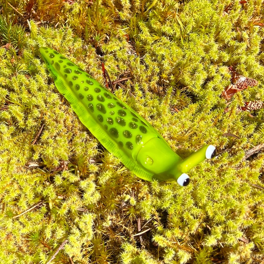 Image of Chartreuse Boro Slug