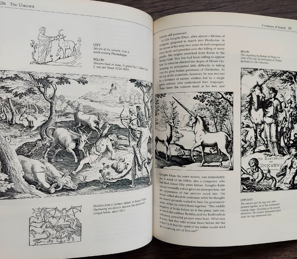 The Unicorn, by Nancy Hathaway