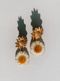 Image 1 of Sun Daisy Studs 