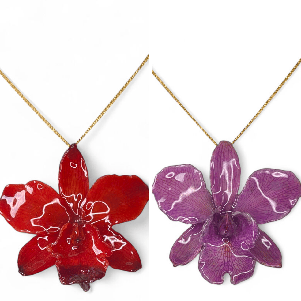 Image of Cattleya Orchid Brooch Pendant