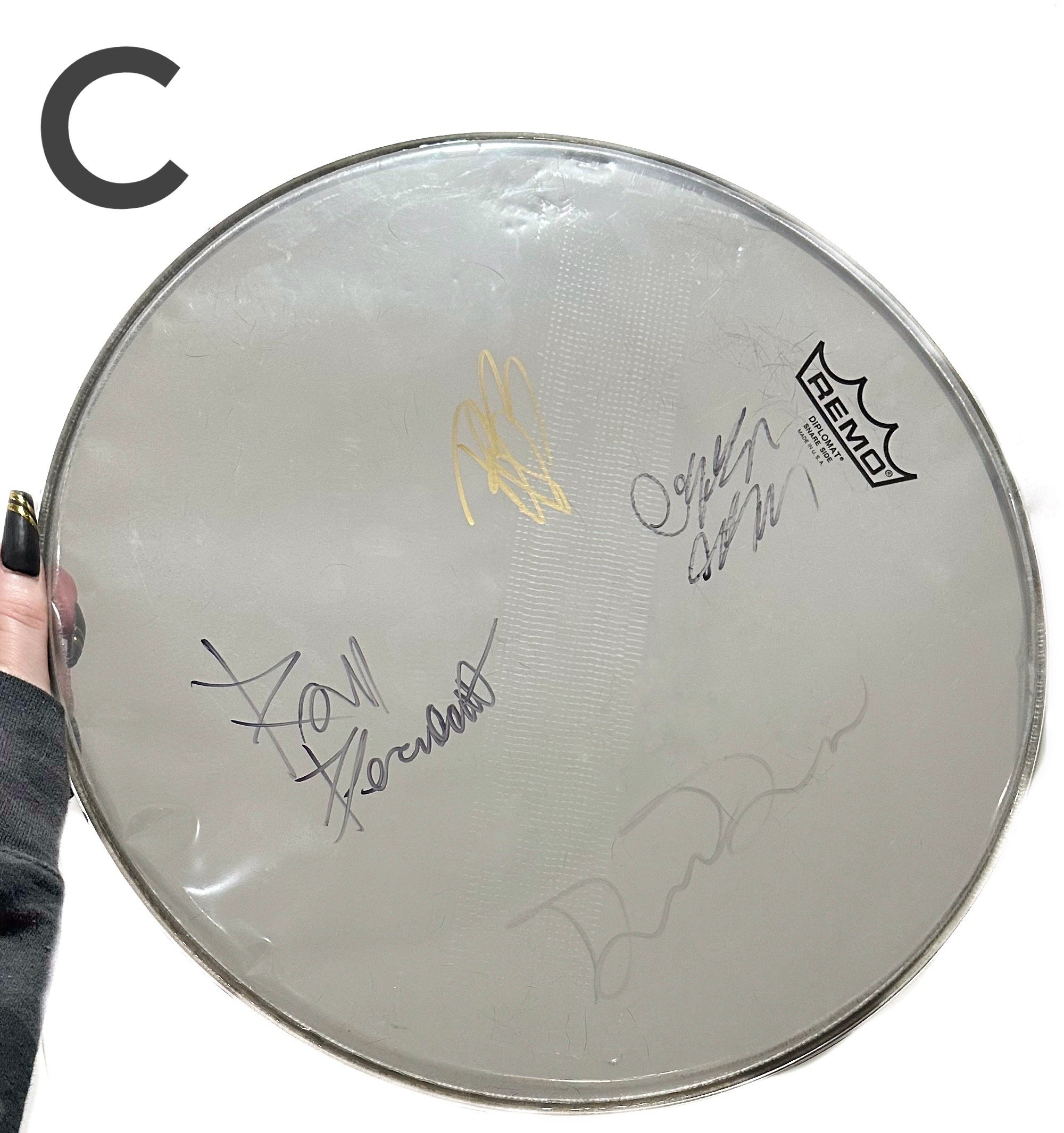 Signed Drum Heads | Renesans