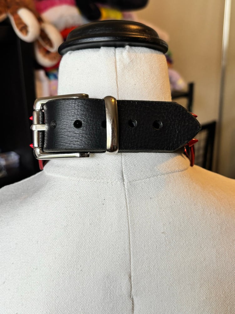 Image of Red & Black Leather Collar