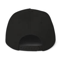 Image 2 of 26 Flat Bill Cap