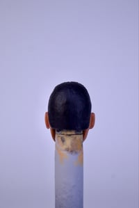 Image 4 of The people’s champ 