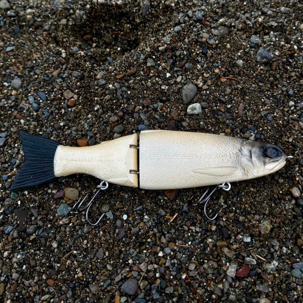 Image of 10 inch slowsink trout