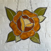 Image 5 of orange rose