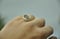 Image of Boulder Opal Ring No 2