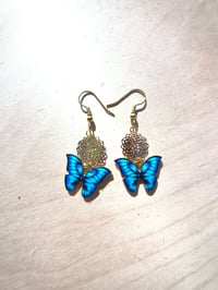 Image 1 of Blue Flight