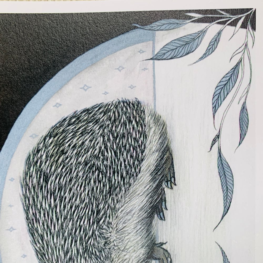 Image of Hedgehog