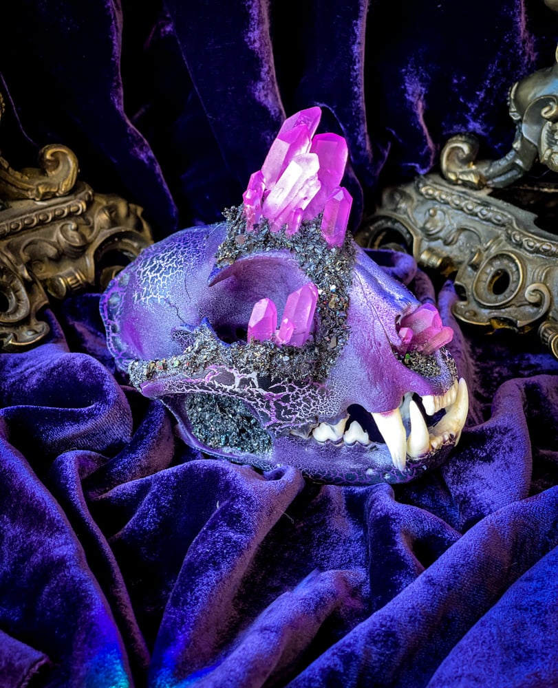 Image of UV Luminescent, Pink Aura Quartz & Carborundum - Bobcat Skull.