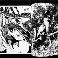Image 5 of SPARK SM 1972 #2