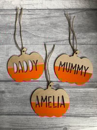 Image 2 of Hand painted pumpkin decorations 