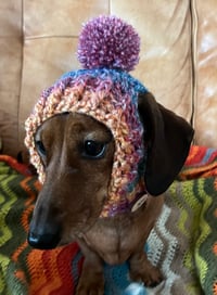 Image 1 of Chunky Dachshund Snood Ears Out