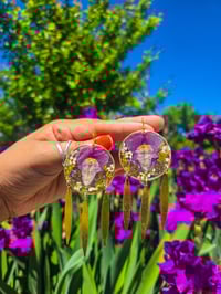 Snapdragon garden 