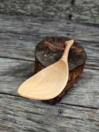 Image 3 of Grevillia eating spoon.