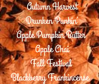 Image 2 of Scents of the Season Autumn Wax Melts 